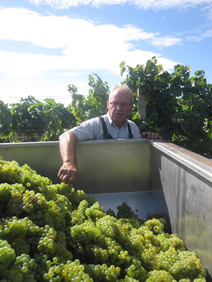 Winzerhof Michael Gartner Panzió Illmic Kültér fotó